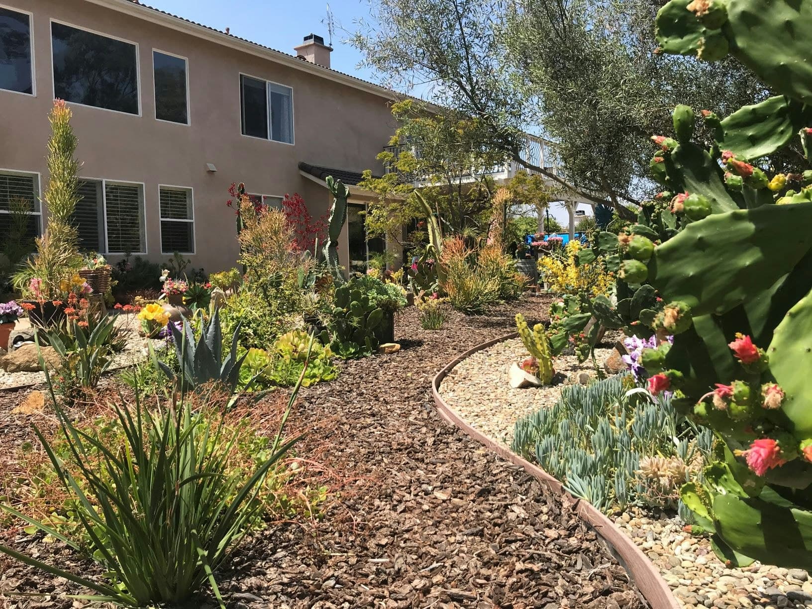 Landscape Turf Replacement in Arlington, TX